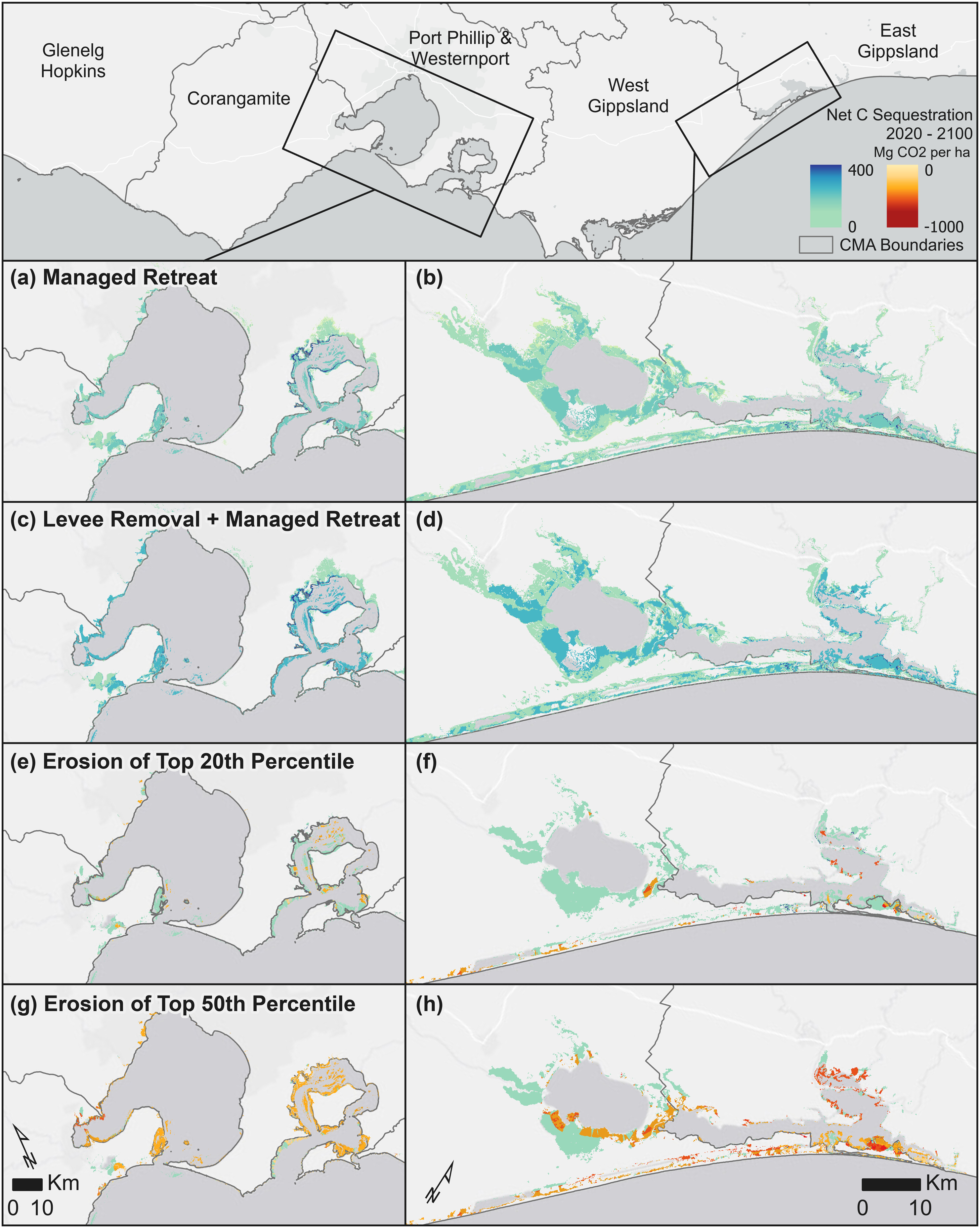 Blue carbon map of Australian coastal ecosystems, 2021